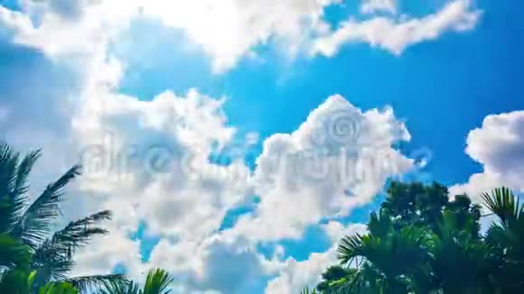 美丽的时光流逝视频白色蓬松的云移过蓝天视频的预览图