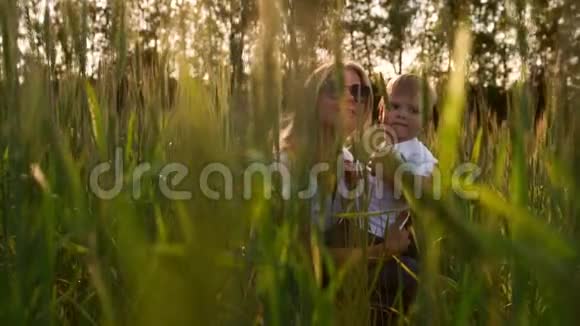 爱的母子在田野里交流和拥抱阳光的光芒照亮了头发幸福家庭视频的预览图
