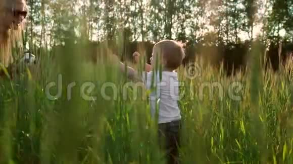 爱的母子在田野里交流和拥抱阳光的光芒照亮了头发幸福家庭视频的预览图