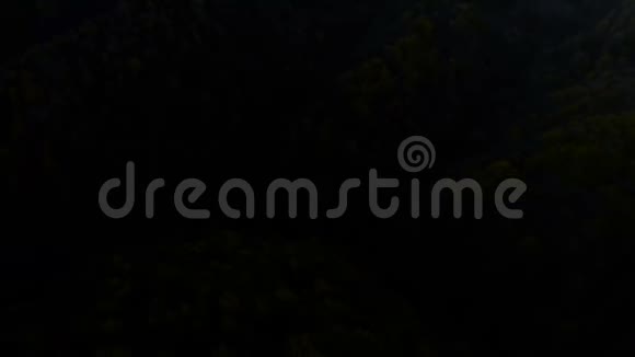 夜间森林史诗般的日落或日出在野生山林中的空中操练视频的预览图