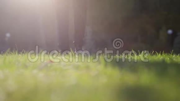一个穿西装的人走在长满露水的草地上视频的预览图