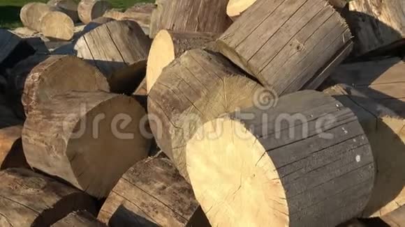 森林破坏概念IPS类型树木被切割成碎片视频的预览图