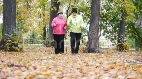 两位老年妇女正在公园里散步从地面看风景视频的预览图