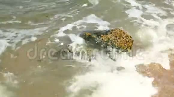 海浪冲洗覆盖着淤泥的大石头视频的预览图