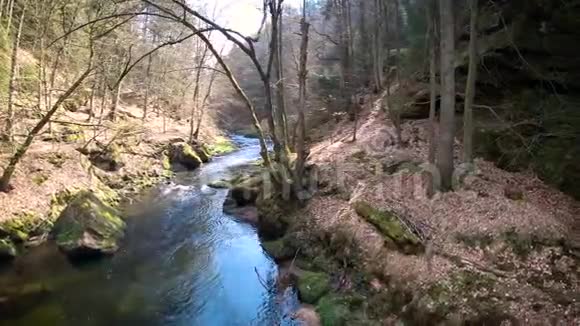 萨克森国家公园的河流视频的预览图