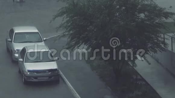 城市里的雨水街道有汽车和树木视频的预览图