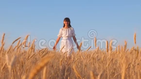 穿着白色衣服的快乐女孩走着微笑着看着一片金黄的麦地女孩手抚摸着成熟的麦穗视频的预览图