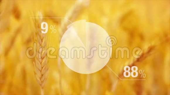 农业耕地小麦产量动画图视频的预览图