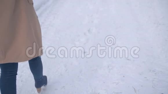 女孩把一朵蓝玫瑰扔在雪地上视频的预览图