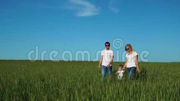 父亲和儿子走在田野里他们穿着白色的T恤衫和牛仔裤兴高采烈地笑着视频的预览图