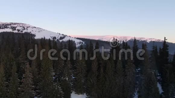 空中拍摄树林和一座山日落时美丽的景色4K视频的预览图