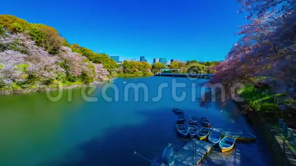 春暖花开的东京樱花池池的一段时间视频的预览图