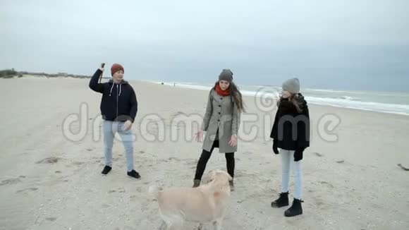 一个幸福和谐的年轻家庭正在海边和一只狗玩耍视频的预览图
