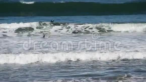 北加州冲浪者等待海浪骑行视频的预览图