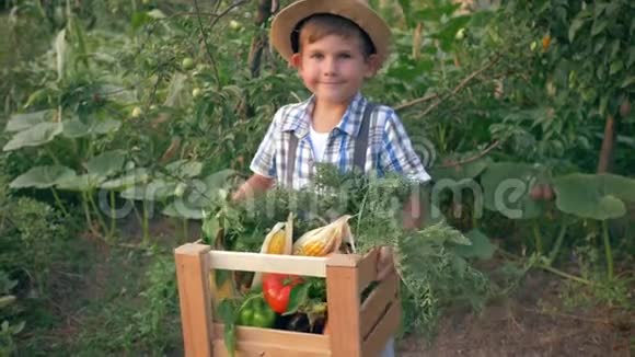 农村生活滑稽的孩子戴着草帽手里拿着木箱子和生的蔬菜在厨房花园里视频的预览图