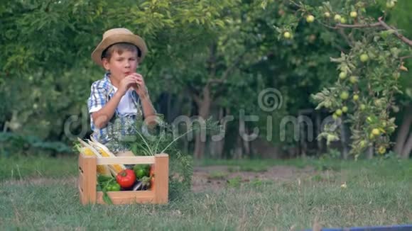 健康的饮食快乐的孩子戴着草帽吃胡萝卜坐在公园里放蔬菜的木箱旁边视频的预览图