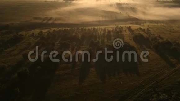 俄罗斯乡村的雾视频的预览图