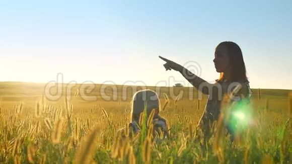 年轻快乐的母亲和小女儿说话指着前方坐在小麦或黑麦地上微笑着视频的预览图