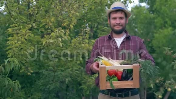 有机和新鲜的产品快乐的农民戴着帽子在收获时用不同的蔬菜装着木箱视频的预览图