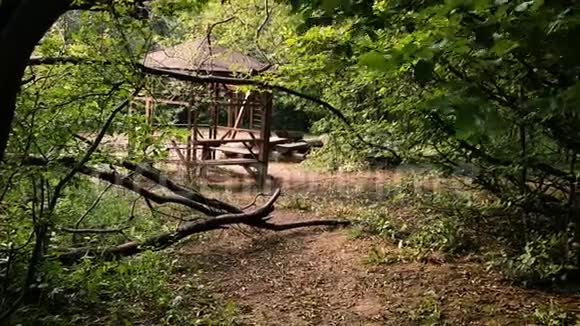 矗立在森林中的乡村木槽的足迹视频的预览图