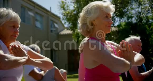 4k养老院花园中活跃的混合种族老年人练习瑜伽的侧视图视频的预览图