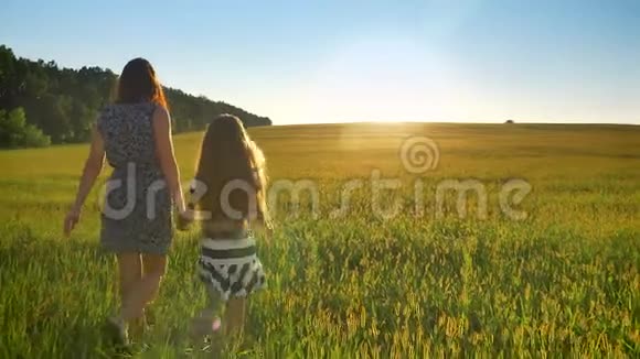 母亲和小女儿牵着手向前走的后景日落时美丽的麦田视频的预览图