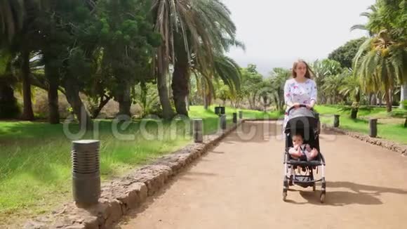 妈妈和一个孩子在公园里散步树上有棕榈树孩子坐在轮椅上笑着视频的预览图