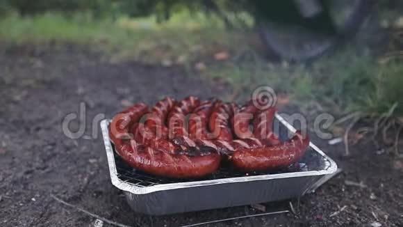 美味多汁的香肠烤火在大自然中野餐视频的预览图