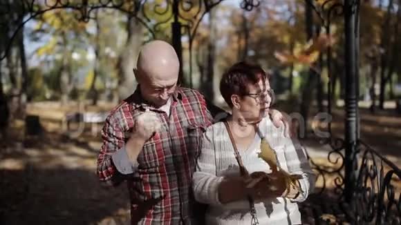 老人手里拿着落叶在秋天的公园里漫步视频的预览图