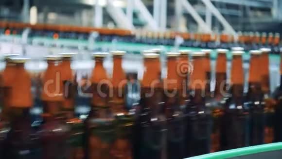 啤酒瓶沿着工厂皮带快速流动视频的预览图