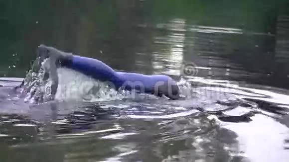 水中潜水者的脚视频的预览图