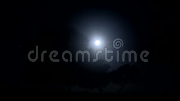 星空中的月亮满月躲在树梢后面视频的预览图