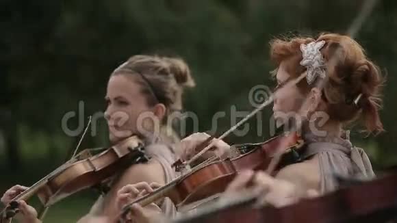音乐四重奏三个小提琴手和大提琴演奏音乐快关门视频的预览图