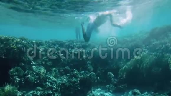 水下4K人在珊瑚礁周围游泳的镜头这是禁止的可能危害海洋自然视频的预览图