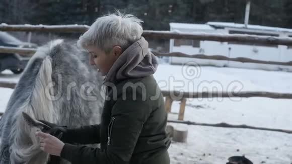 女孩在梳理马鬃毛视频的预览图