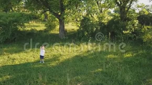 草坪上的小男孩视频的预览图
