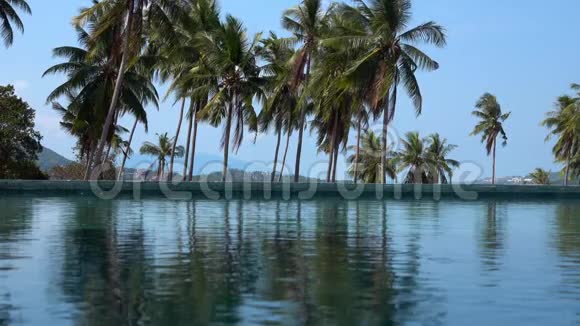 棕树环绕热带地区游泳池表面的电影照片视频的预览图