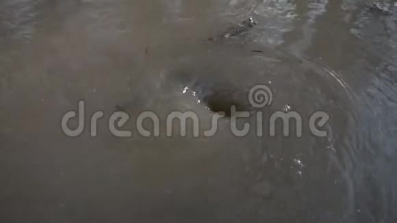 漩涡是水的湍流造成的视频的预览图