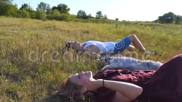 多莉在阳光明媚的日子里在草地上躺着抚摸着西伯利亚的哈士奇狗这对年轻的情侣相爱了视频的预览图