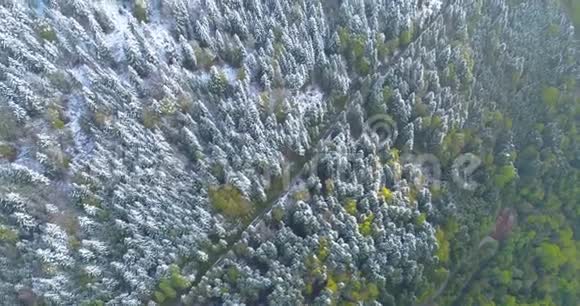 4k无人驾驶飞机从上面的森林镜头与雪极限过渡与道路视频的预览图