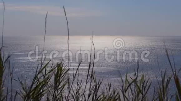 日落穿过草地阳光反射在大海上草在风中摇曳视频的预览图