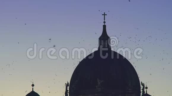 柏林大教堂上巨大的城市乌鸦群视频的预览图