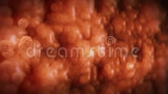 在人体内脂肪细胞高度细致的纹理视频的预览图