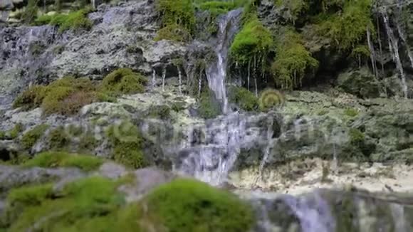 天然瀑布纯净的瀑布水流穿过长满苔藓的石头视频的预览图