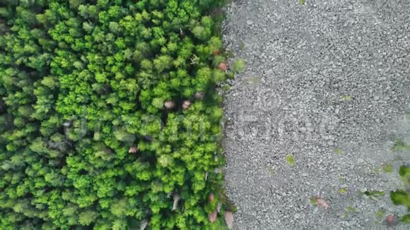 飞过森林和石头视频的预览图