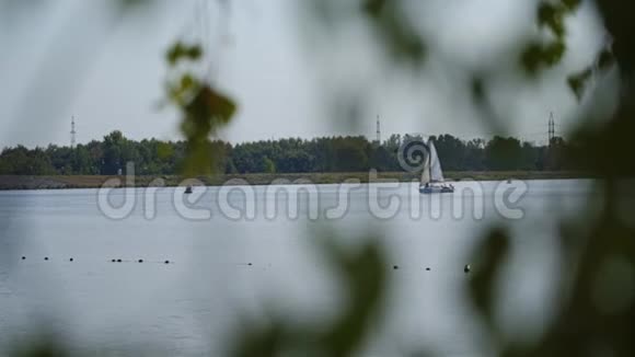 透过一个大湖表面的树木叶子观看可见船只视频的预览图