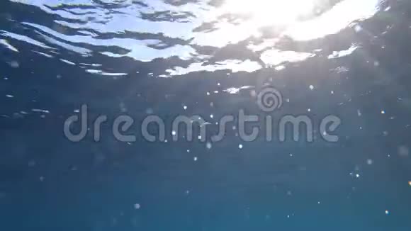 4K慢动作用太阳光和太阳光从水下喷出的水视频的预览图
