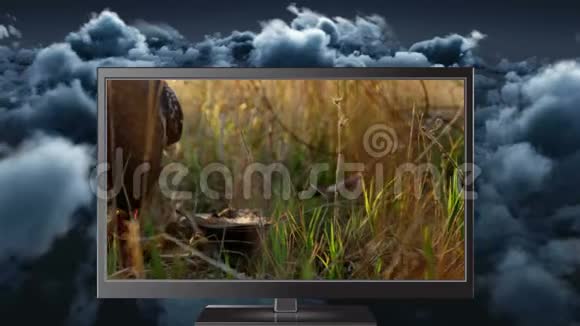 数字平板电脑数字动画显示捕食鸟在森林中捕食视频的预览图