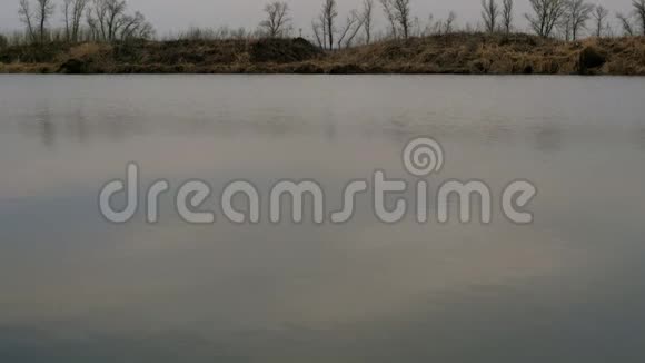 远处河边有小树水面上有轻微的涟漪视频的预览图