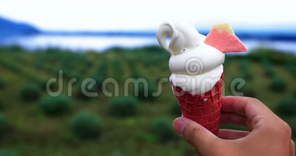 一种软冰淇淋手放在花园和湖边视频的预览图